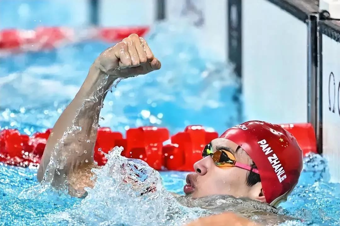 关于突尼斯选手表现出色，跳水比赛获得金牌的信息